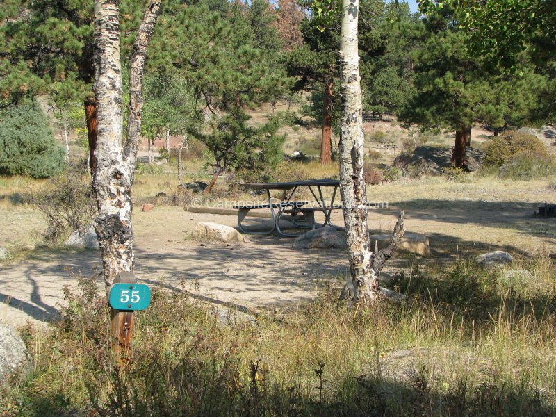 Campsite 055 in Moraine Park Campground at Rocky Mountain National Park